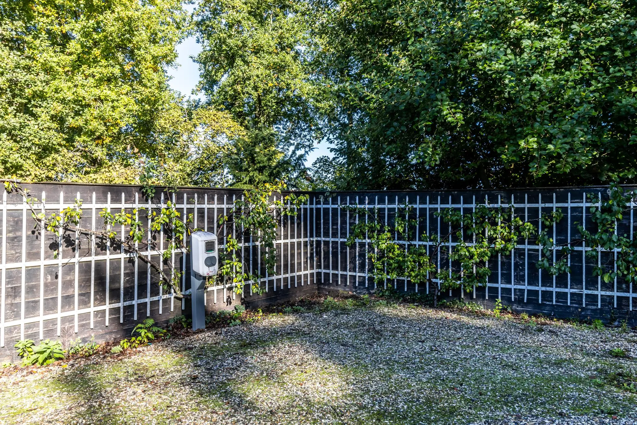 Oplaadpunt voor auto's naast een houten tuinwand met klimplanten aan de Langbroekerdijk.